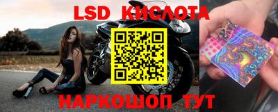 прущие крисы Малгобек