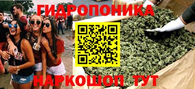 прущие крисы Малгобек