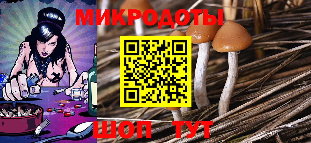 Псилоцибиновые грибы Cubensis Всеволожск