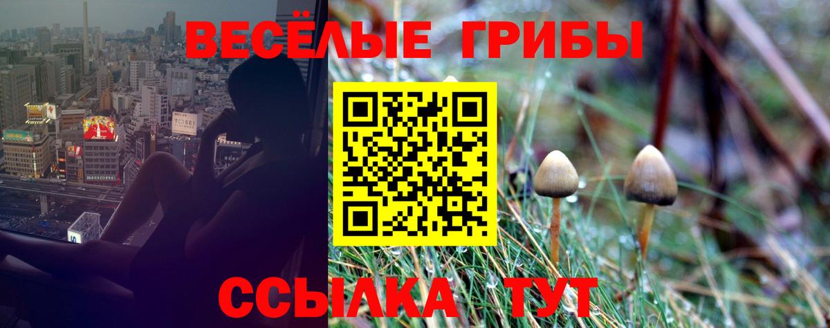 Галлюциногенные грибы Psilocybine cubensis  Вход с VPN  Всеволожск 