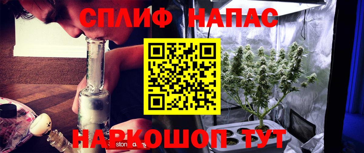 Шишки марихуана планчик  Вход с VPN  Конопля Amnesia  Всеволожск  Бошки Шишки тримм  Шишки марихуана индика 
